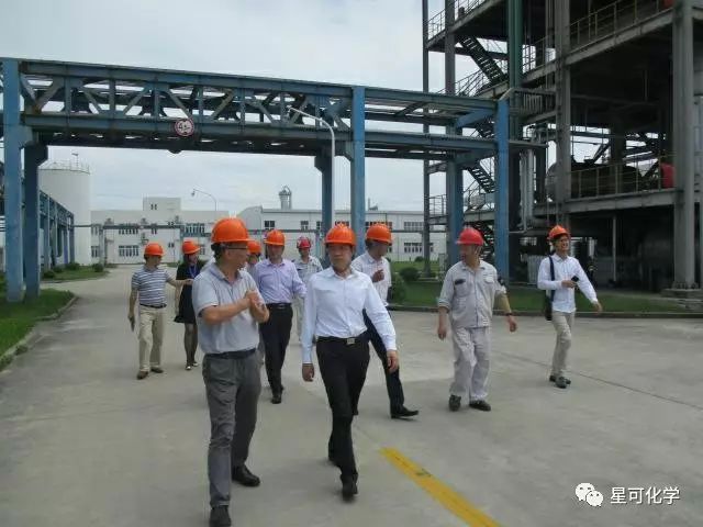 上海化工区管委会马静主任带队到上海星可高纯调研