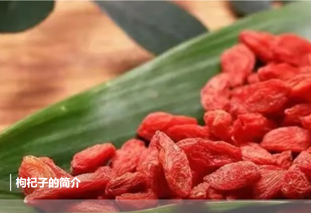 滋肾润肺—枸杞子的测定