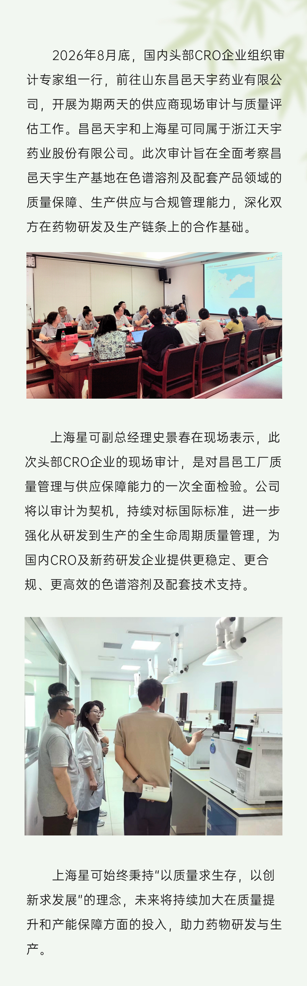 零售茶叶产品营销卖货高级感实景排版多画布长图文章长图aigc.jpg